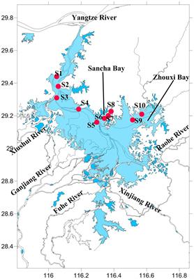 Response of the microbial community structure to the environmental factors during the extreme flood season in Poyang Lake, the largest freshwater lake in China